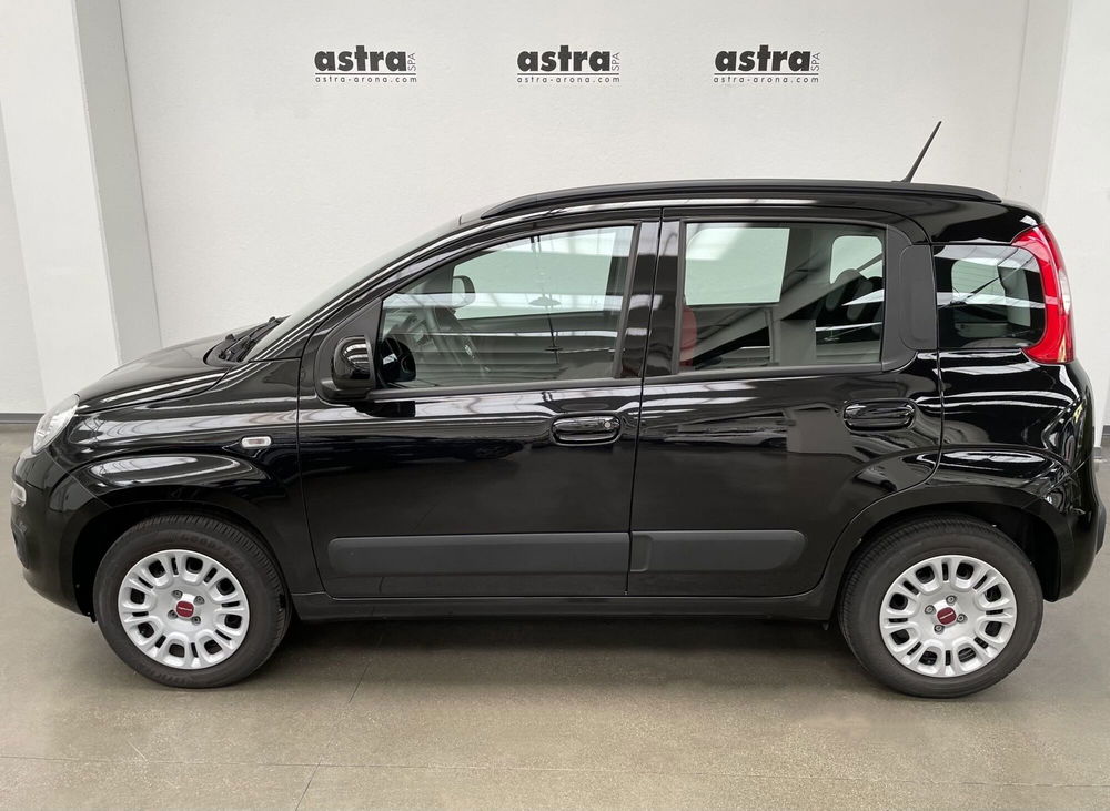 Fiat Panda Cross nuova a Novara (7)