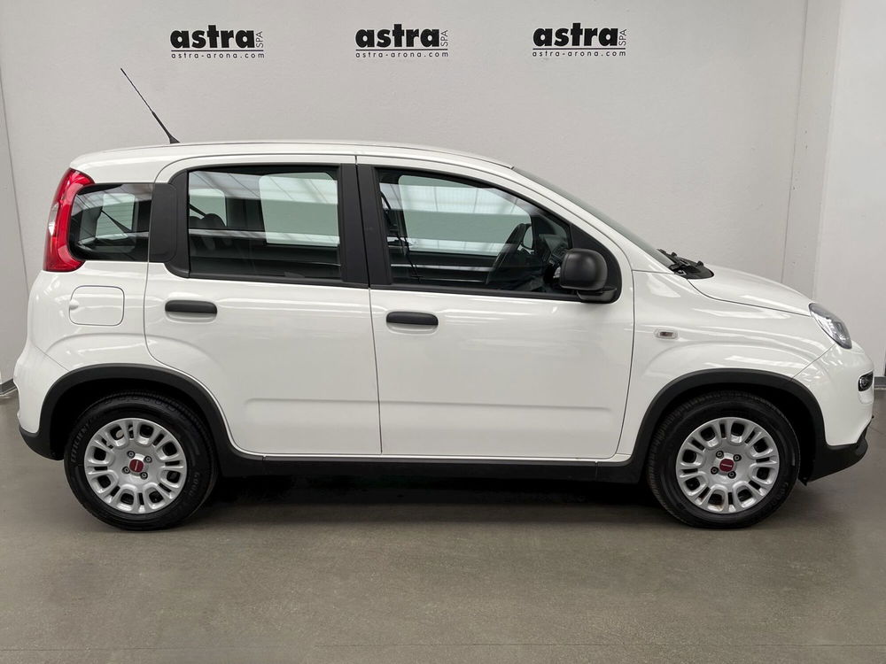 Fiat Panda Cross nuova a Novara (3)