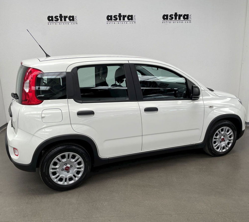 Fiat Panda Cross nuova a Novara (4)