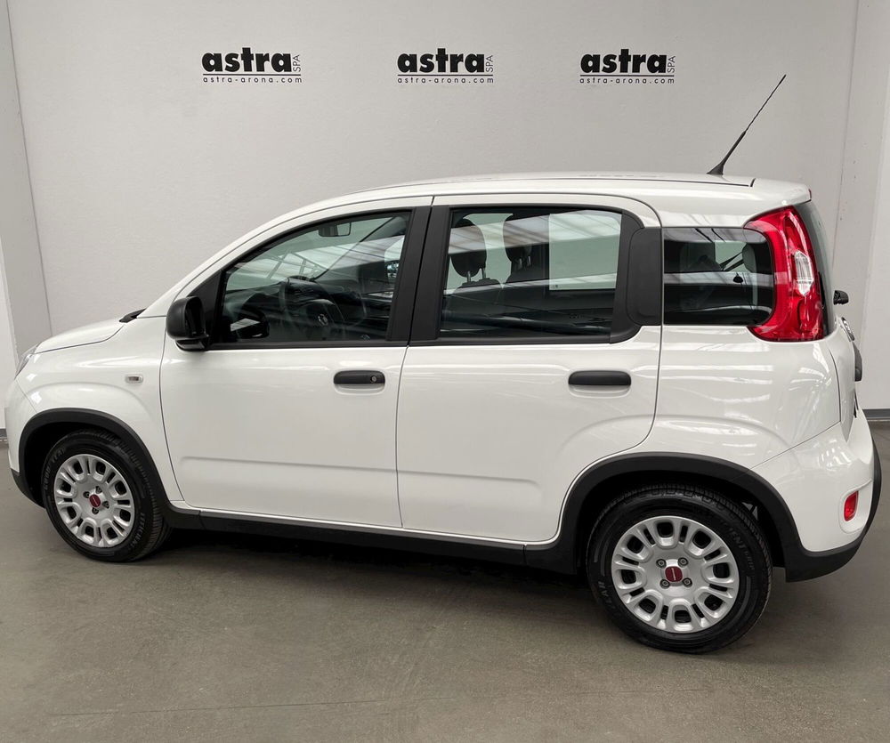 Fiat Panda Cross nuova a Novara (6)