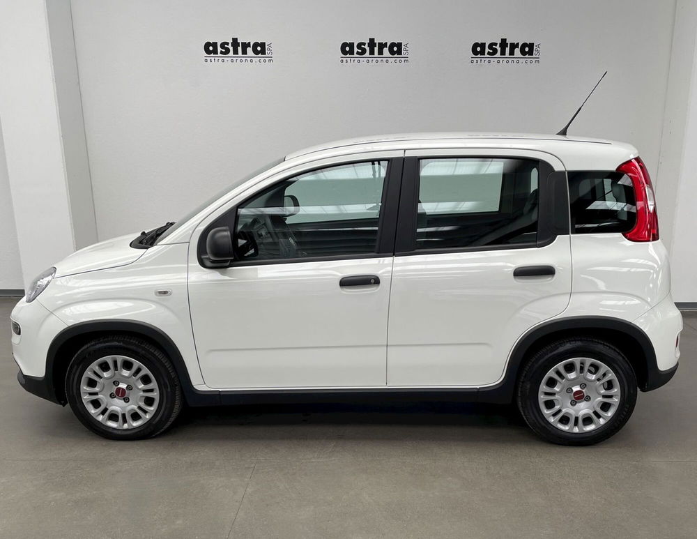 Fiat Panda Cross nuova a Novara (7)