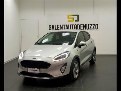 Ford Fiesta 1.0 Ecoboost 100 CV aut. 5 porte Vignale  del 2018 usata a Lecce