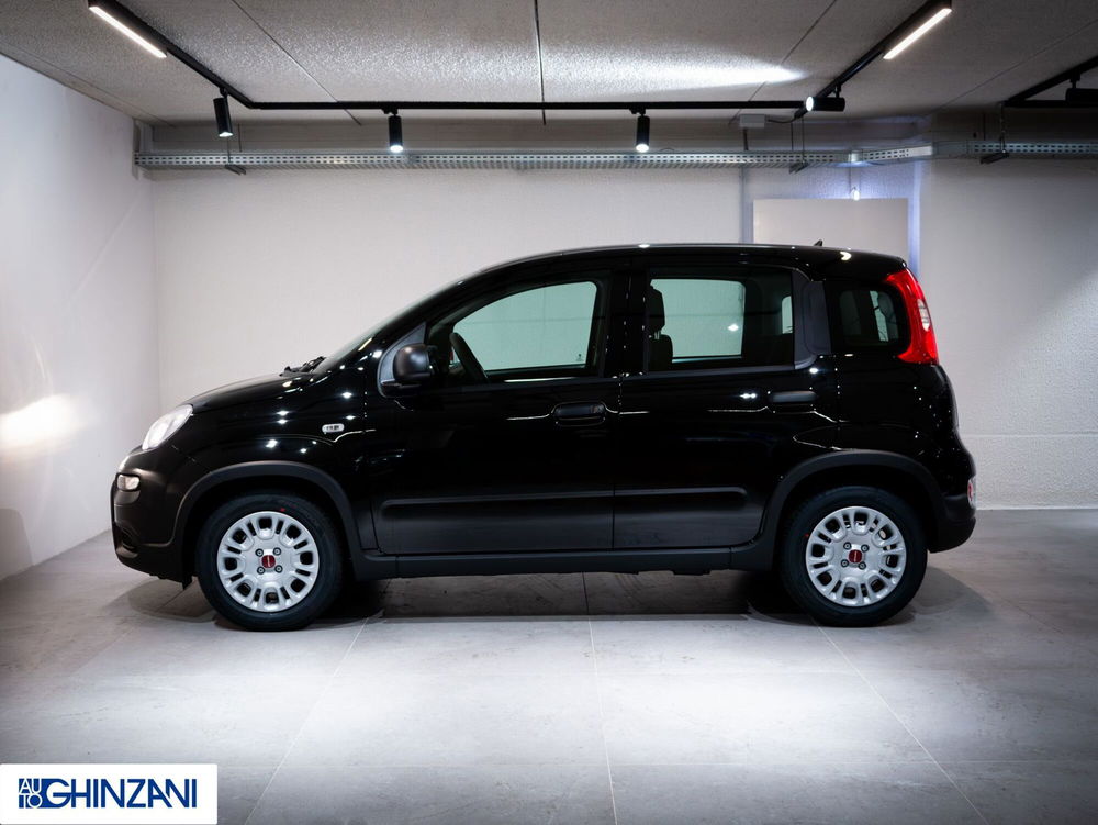 Fiat Panda nuova a Bergamo (4)