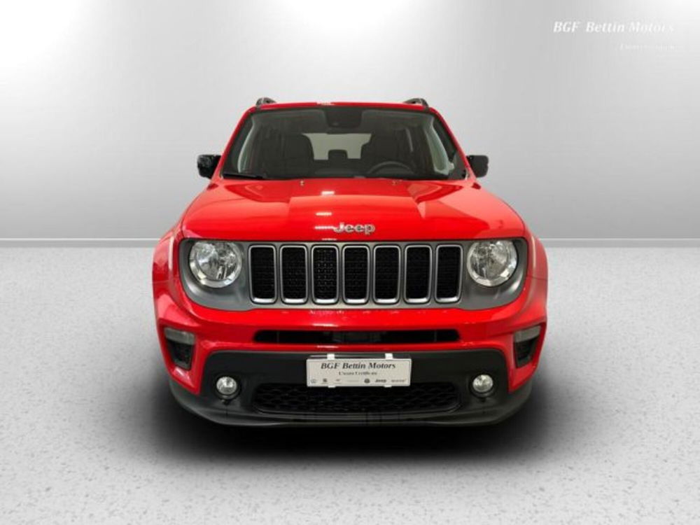 Jeep Renegade usata a Padova (2)