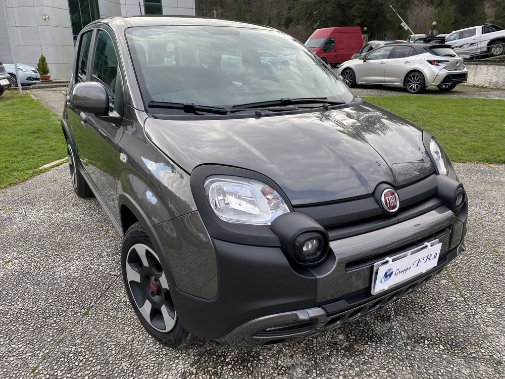 Fiat Panda usata a La Spezia