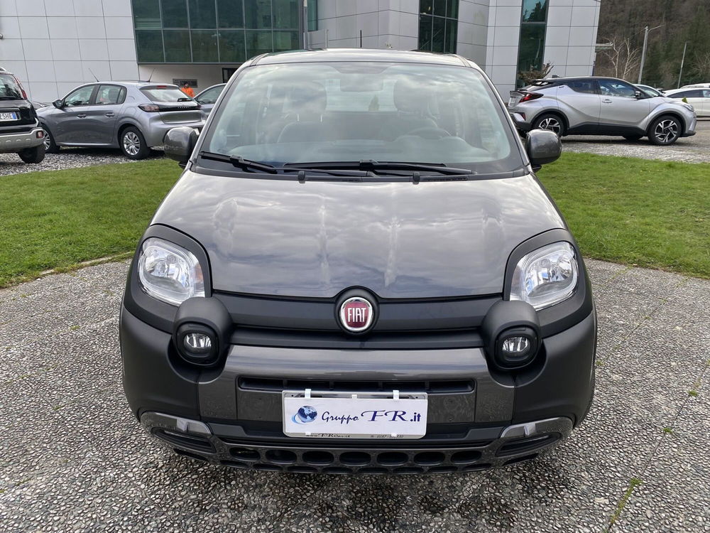 Fiat Panda usata a La Spezia (2)