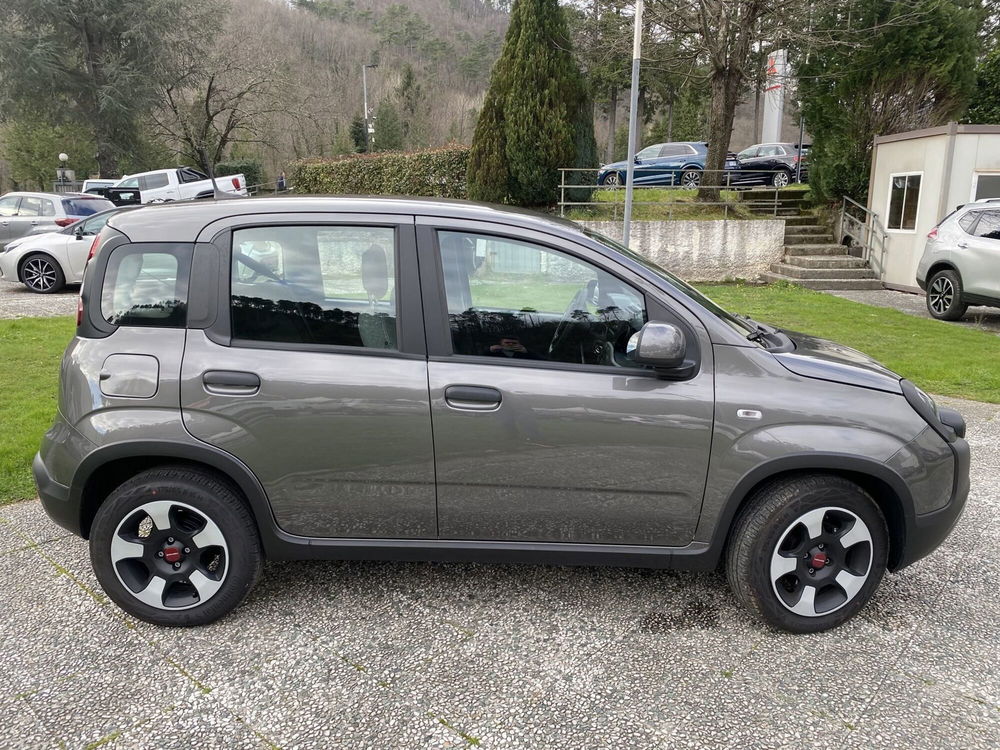 Fiat Panda usata a La Spezia (8)