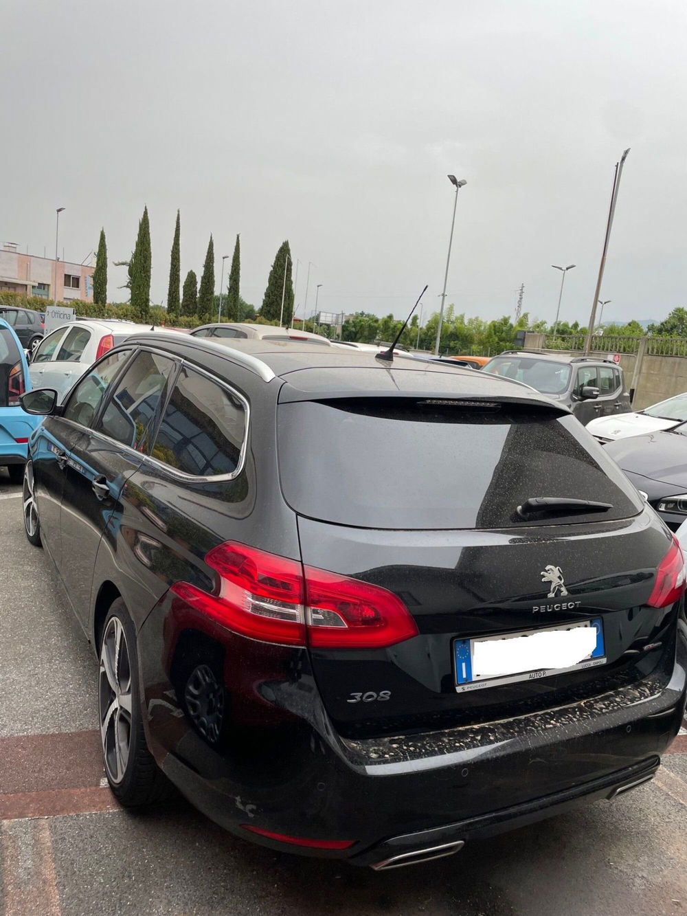 Peugeot 308 SW usata a Lucca (4)