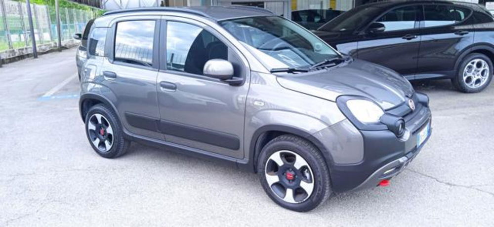 Fiat Panda Cross usata a Frosinone