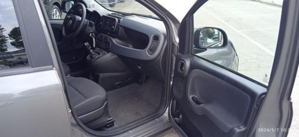 Fiat Panda Cross usata a Frosinone (11)