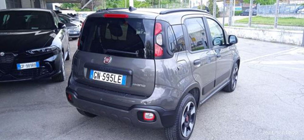 Fiat Panda Cross usata a Frosinone (2)