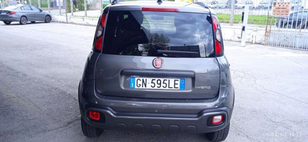 Fiat Panda Cross usata a Frosinone (3)