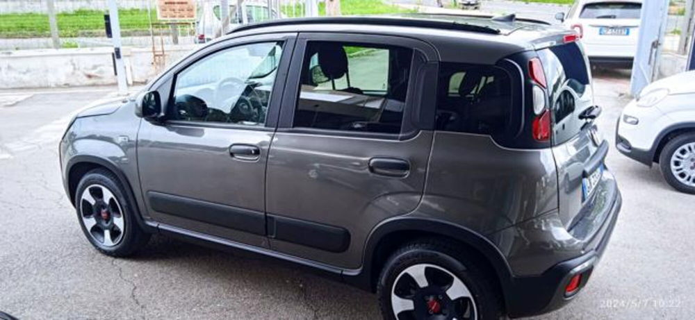 Fiat Panda Cross usata a Frosinone (4)