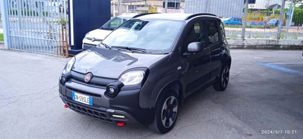 Fiat Panda Cross usata a Frosinone (5)