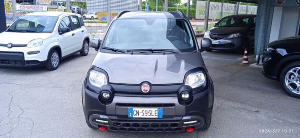 Fiat Panda Cross usata a Frosinone (6)