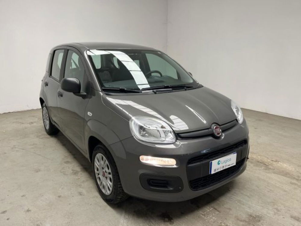 Fiat Panda usata a Biella