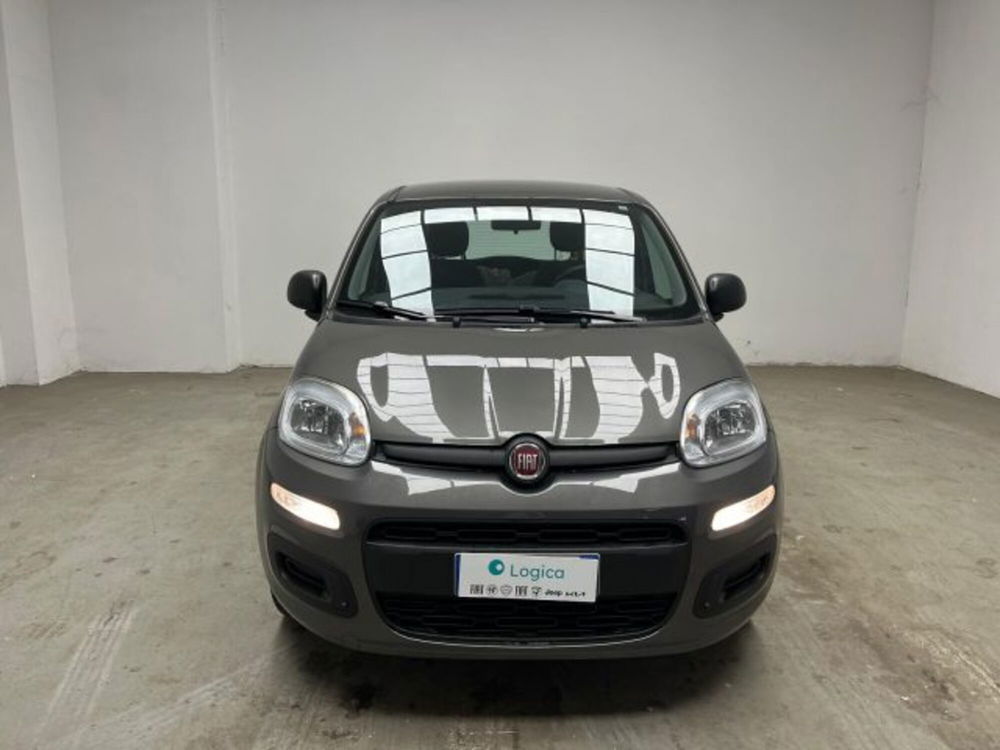 Fiat Panda usata a Biella (2)