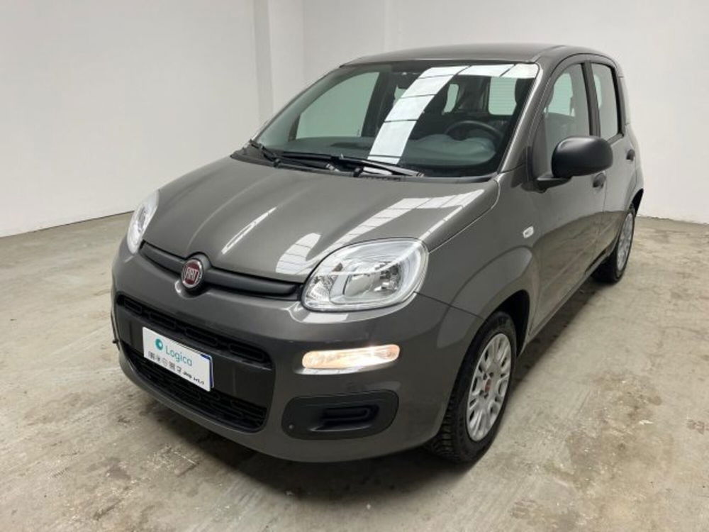 Fiat Panda usata a Biella (6)