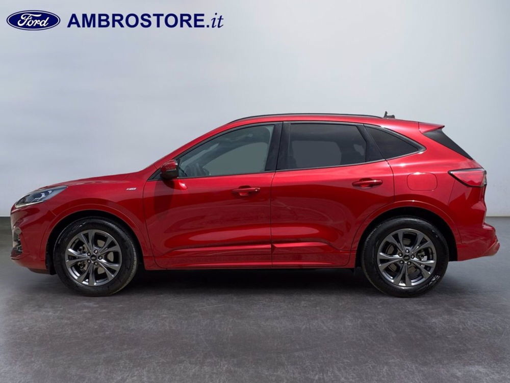 Ford Kuga usata a Milano (8)