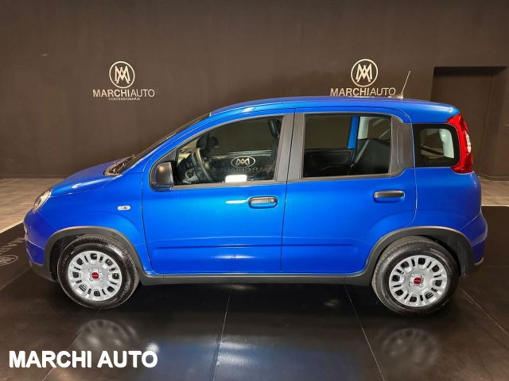 Fiat Panda nuova a Perugia (8)