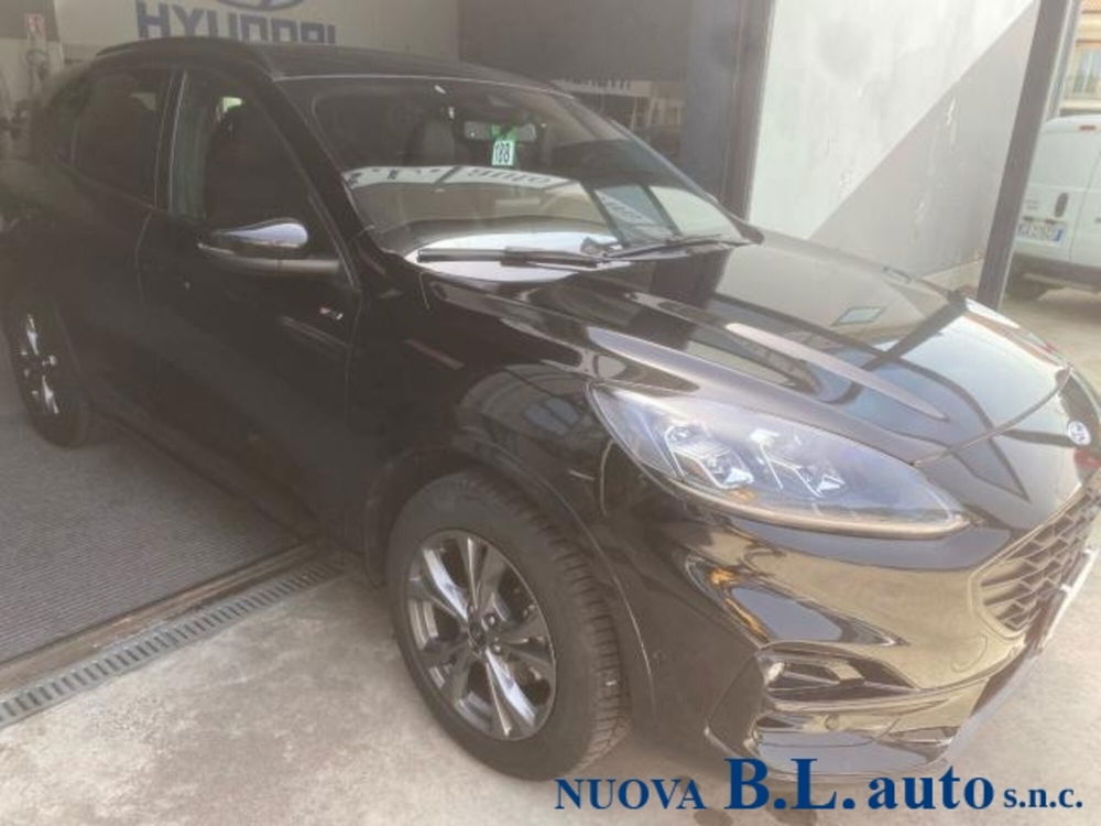 Ford Kuga usata a Verona (5)