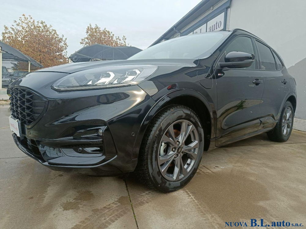 Ford Kuga usata a Verona (2)