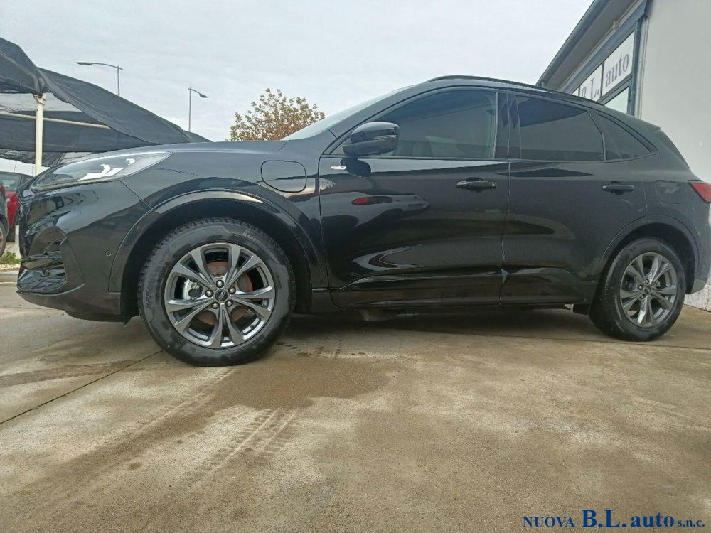 Ford Kuga usata a Verona (5)