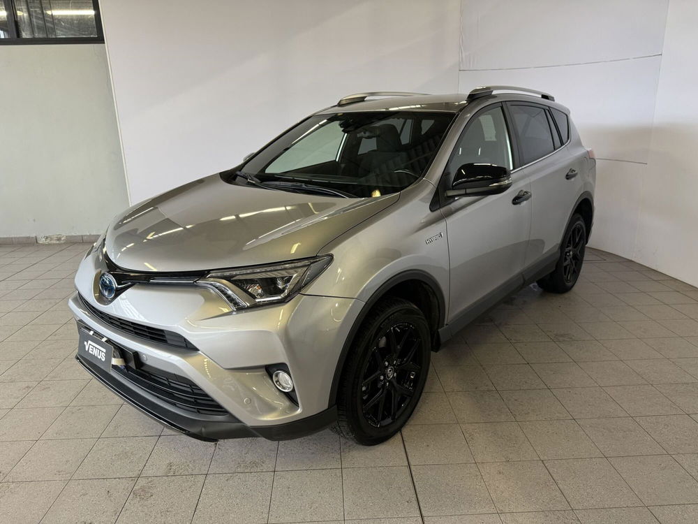 Toyota Rav4 usata a Monza e Brianza (2)