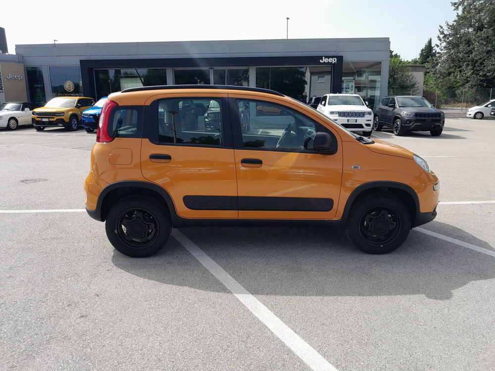 Fiat Panda usata a Ancona (4)