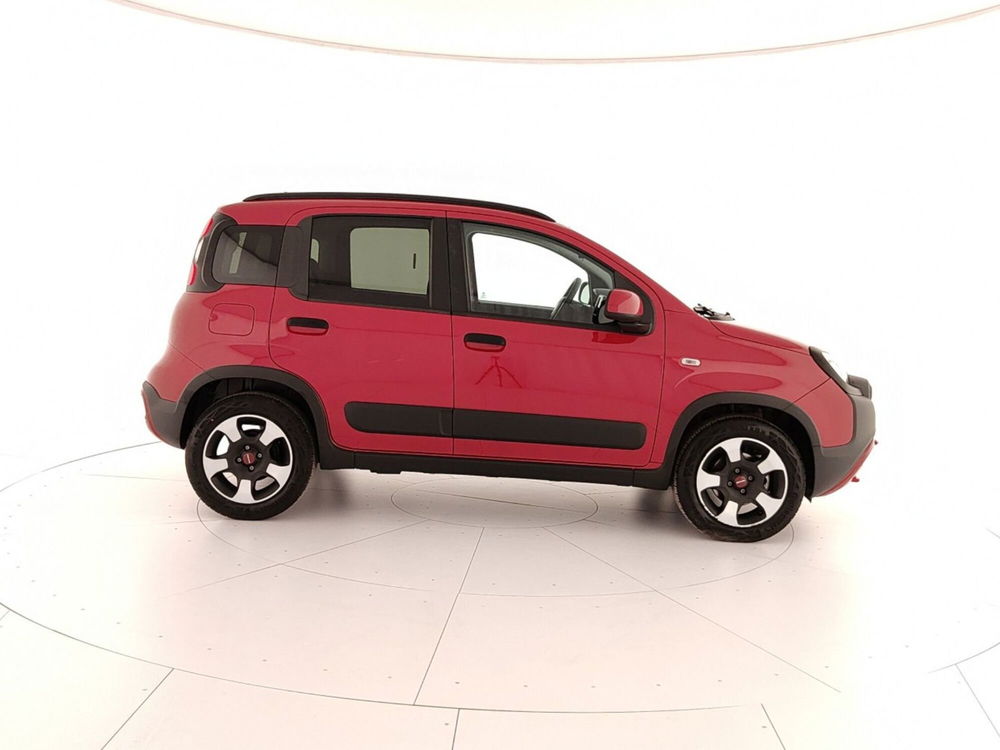 Fiat Panda Cross usata a Caserta (7)