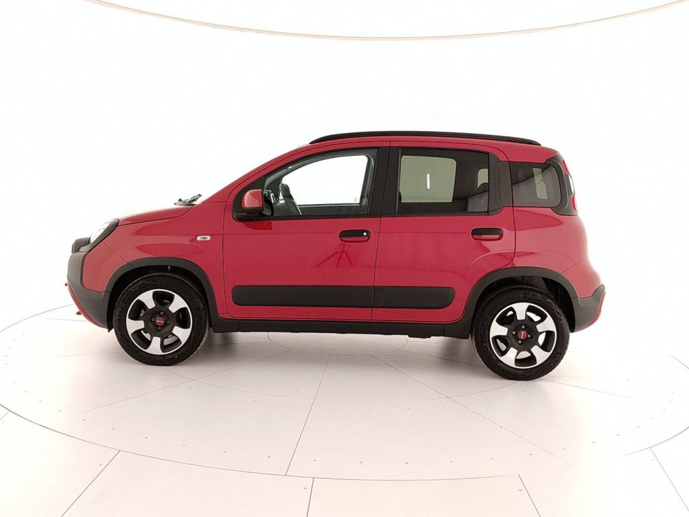 Fiat Panda Cross usata a Caserta (9)