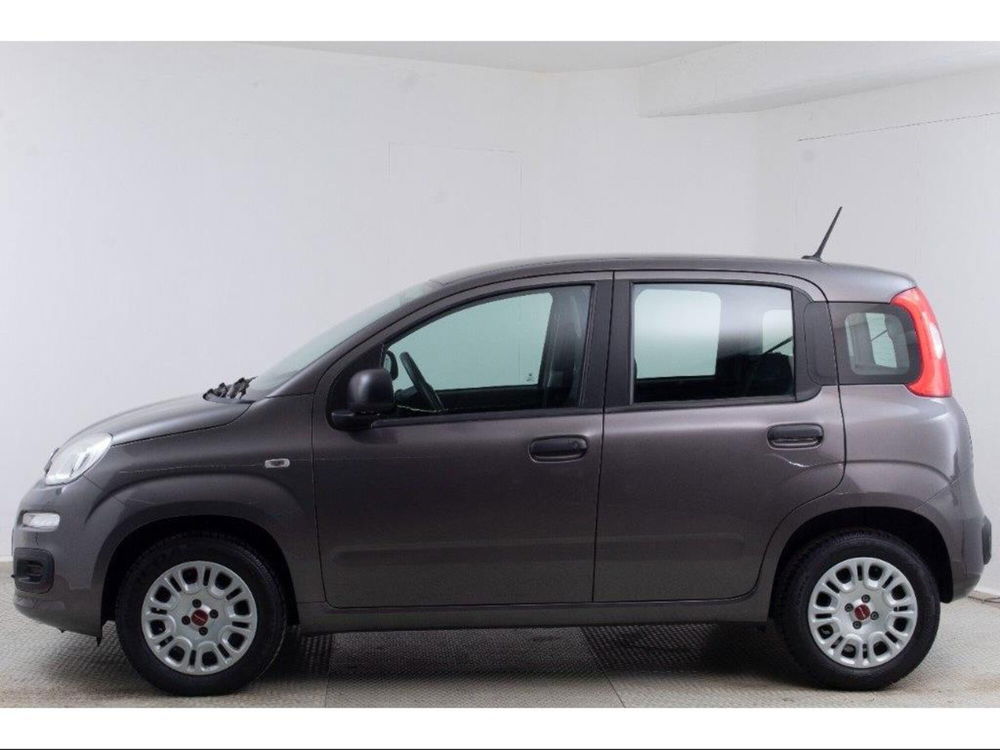 Fiat Panda usata a Novara (3)