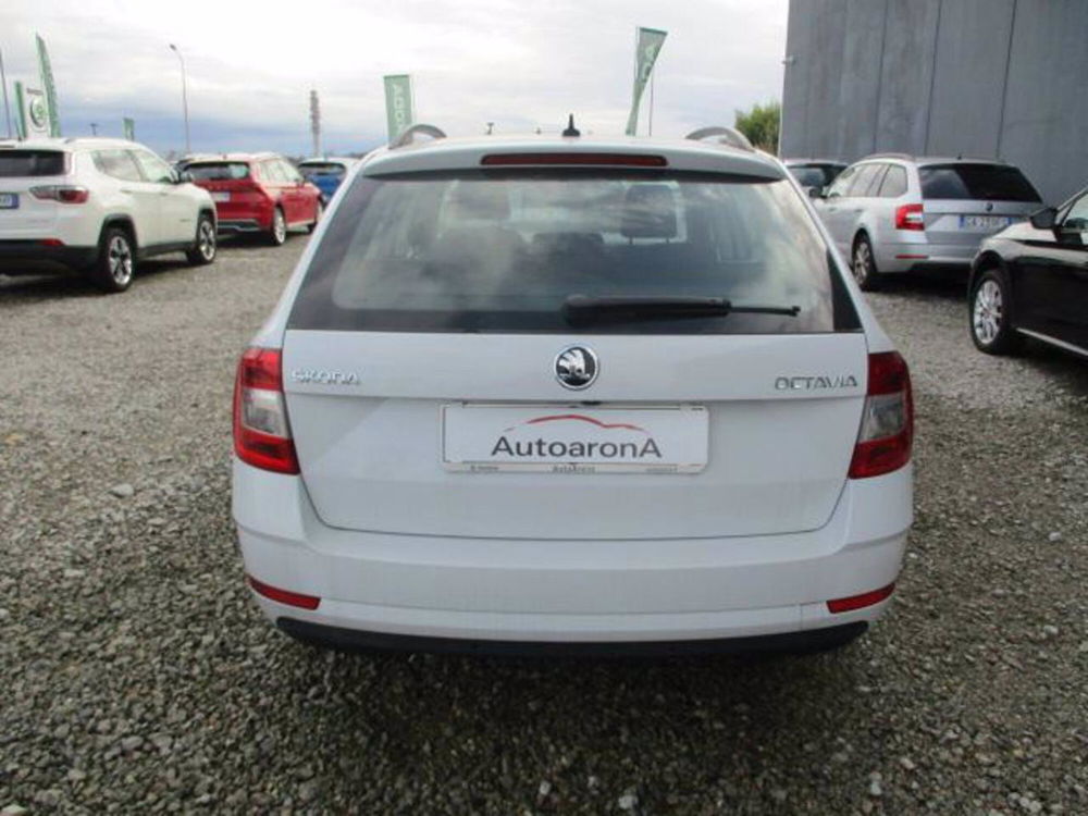 Skoda Octavia Station Wagon usata a Novara