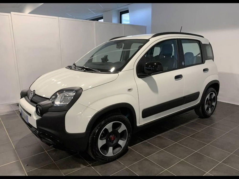 Fiat Panda usata a Torino