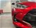 Toyota Yaris 1.0 5 porte Trend  del 2020 usata a Ferrara (16)