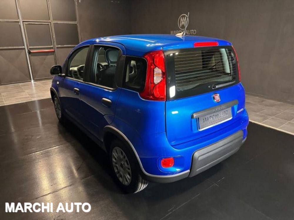 Fiat Panda nuova a Perugia (7)