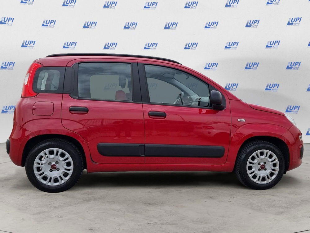 Fiat Panda usata a Pistoia (10)