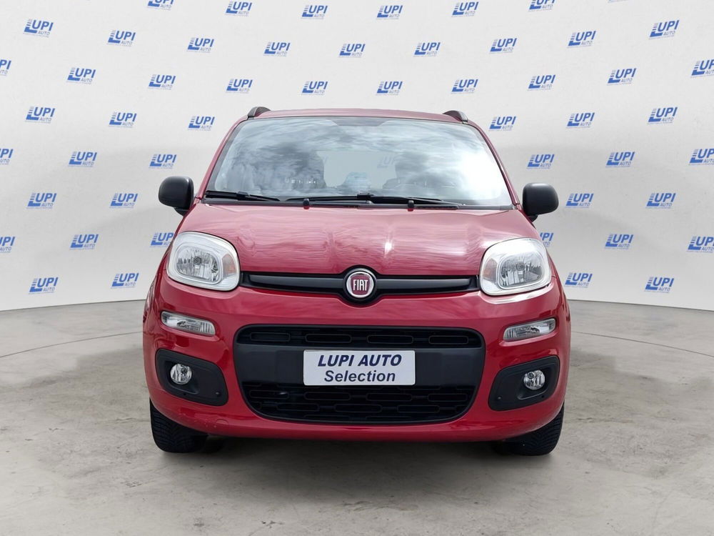 Fiat Panda usata a Pistoia (2)