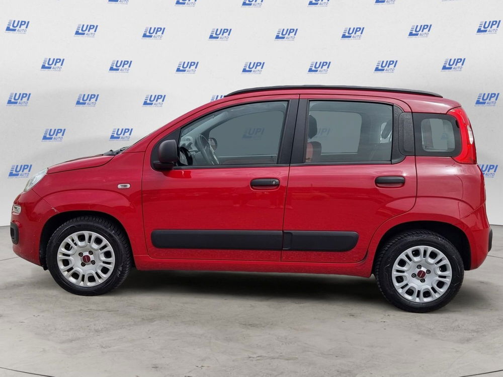 Fiat Panda usata a Pistoia (4)