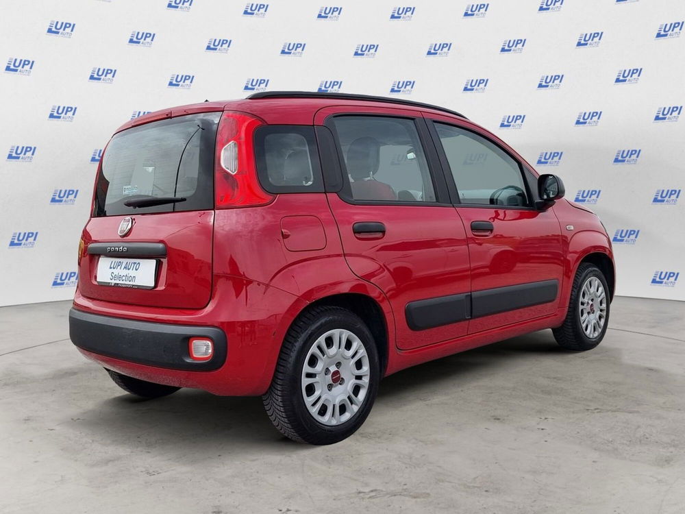 Fiat Panda usata a Pistoia (9)