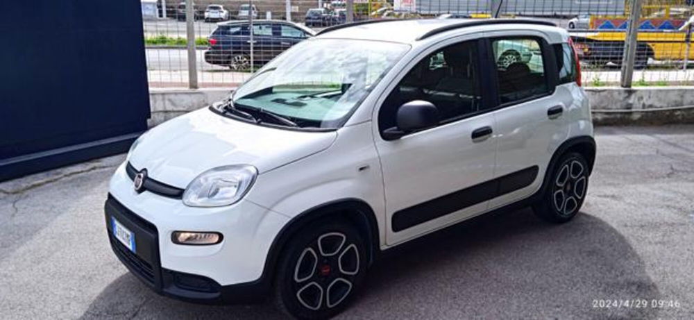 Fiat Panda usata a Frosinone