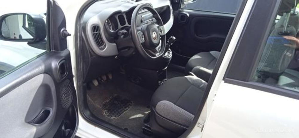 Fiat Panda usata a Frosinone (16)