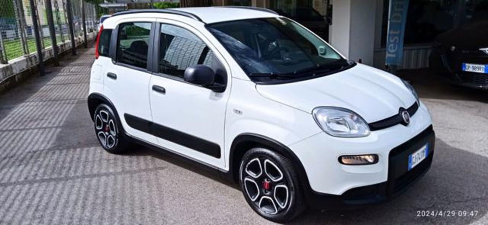 Fiat Panda usata a Frosinone (2)