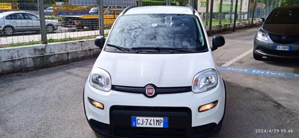 Fiat Panda usata a Frosinone (3)