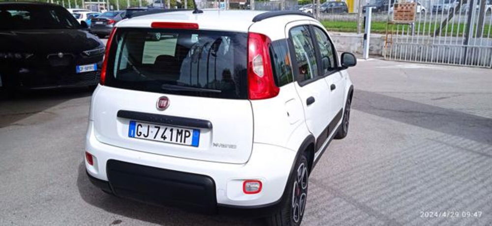 Fiat Panda usata a Frosinone (4)