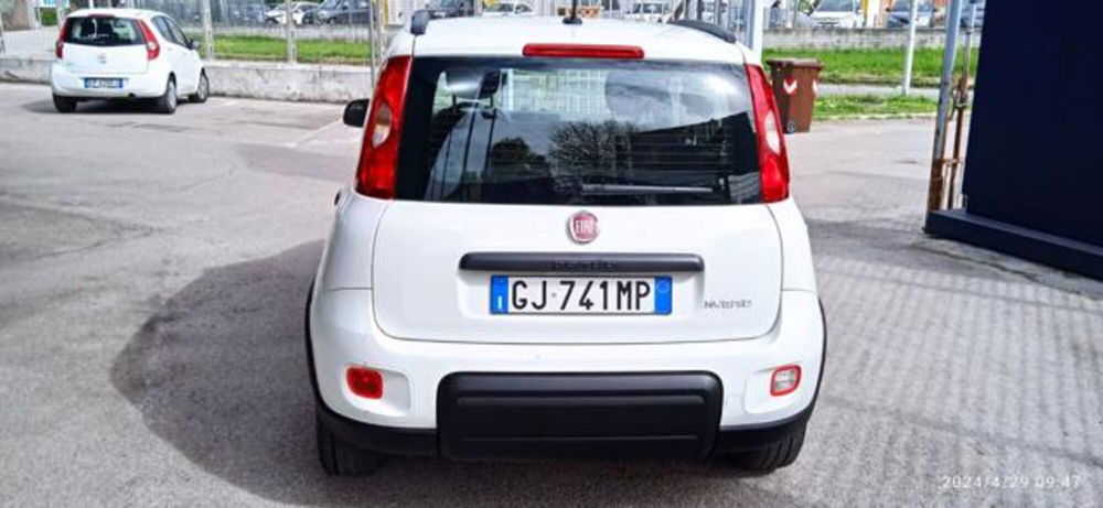 Fiat Panda usata a Frosinone (6)