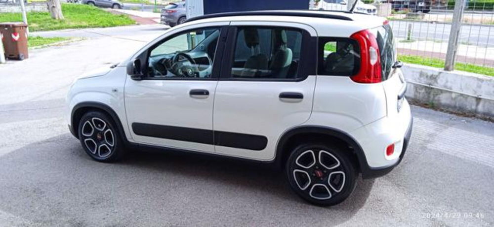 Fiat Panda usata a Frosinone (7)