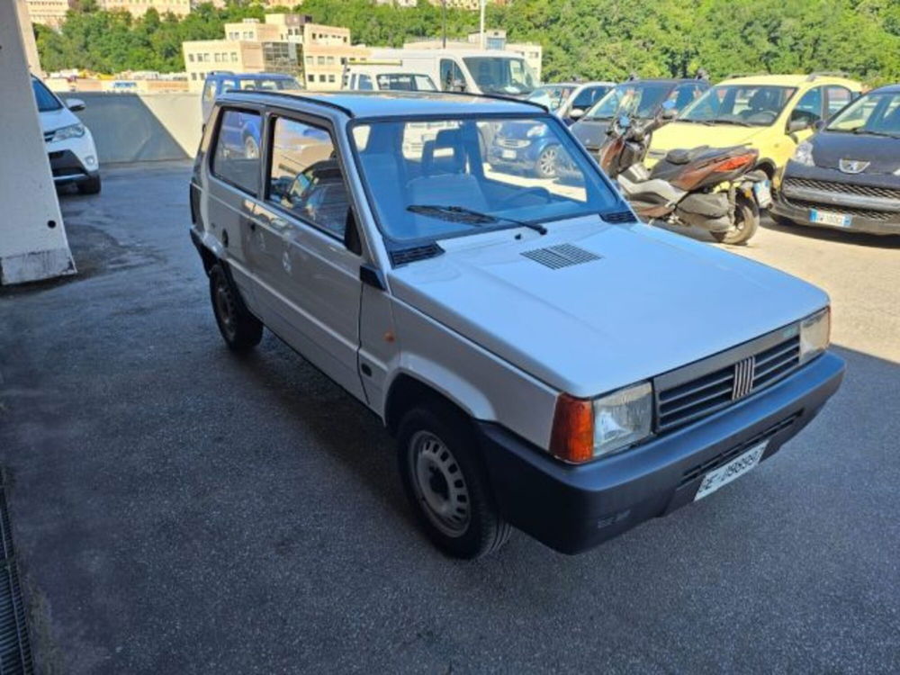 Fiat Panda nuova a Genova (3)