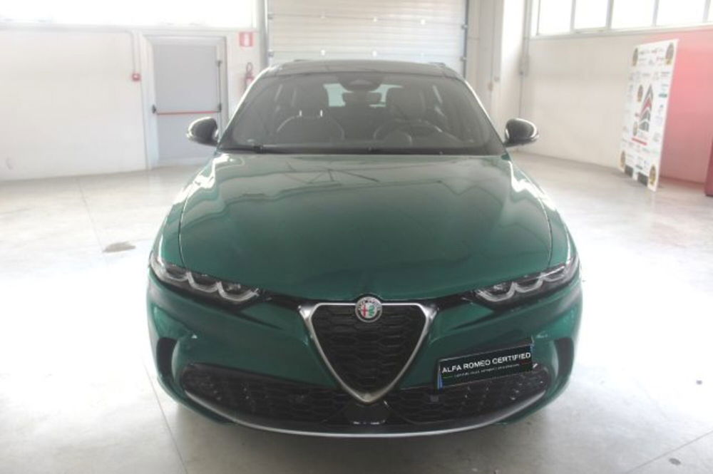 Alfa Romeo Tonale usata a Terni (2)