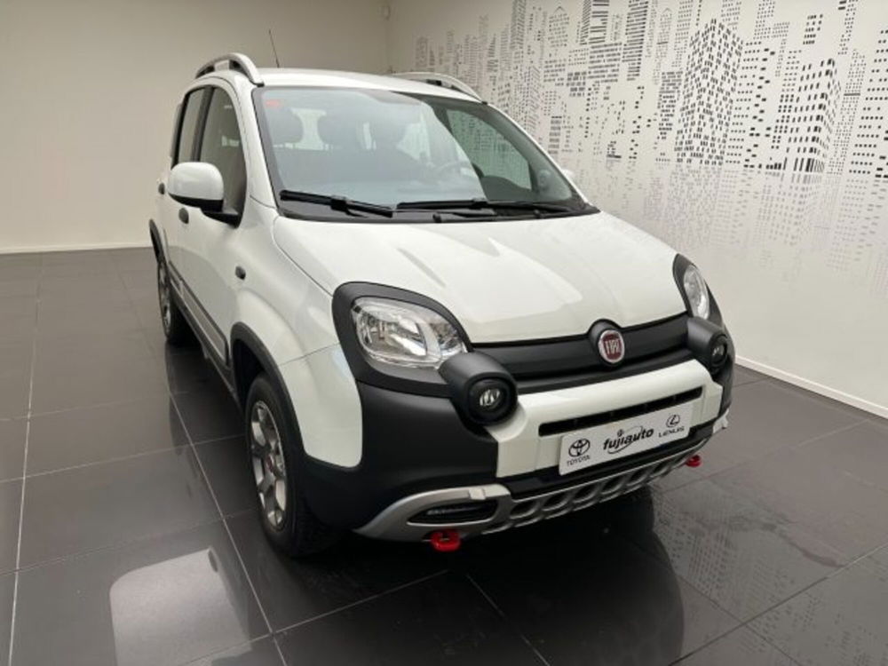 Fiat Panda Cross usata a Cuneo (2)